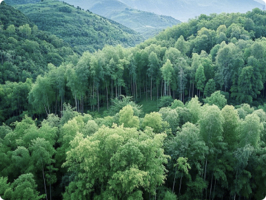 林地